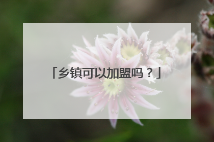 乡镇可以加盟吗?