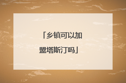 乡镇可以加盟塔斯汀吗