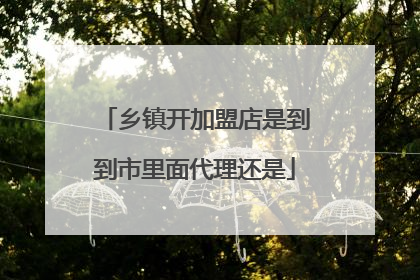 乡镇开加盟店是到到市里面代理还是