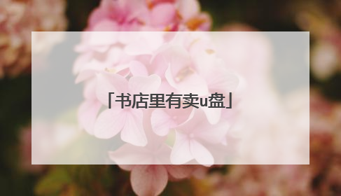 书店里有卖u盘