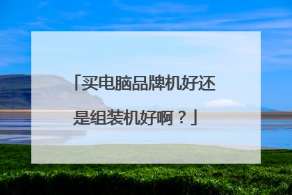 买电脑品牌机好还是组装机好啊?