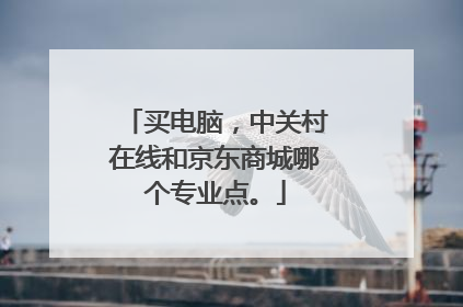 买电脑,中关村在线和京东商城哪个专业点。