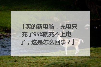 买的新电脑,充电只充了95%就充不上电了,这是怎么回事?
