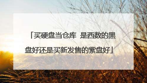 买硬盘当仓库 是西数的黑盘好还是买新发售的紫盘好