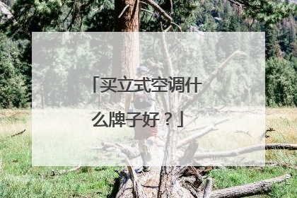 买立式空调什么牌子好？