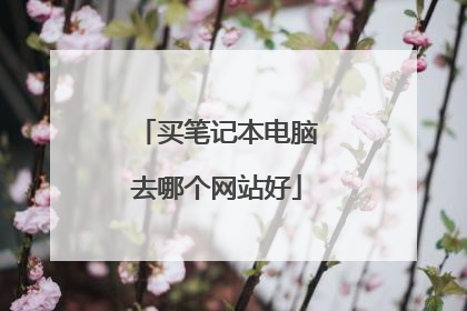 买笔记本电脑去哪个网站好