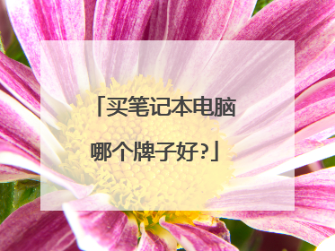 买笔记本电脑哪个牌子好?