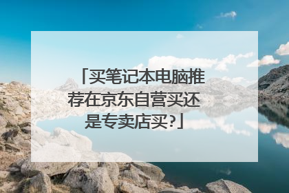 买笔记本电脑推荐在京东自营买还是专卖店买?