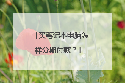 买笔记本电脑怎样分期付款？