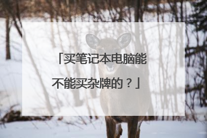 买笔记本电脑能不能买杂牌的?