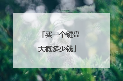 买一个键盘大概多少钱