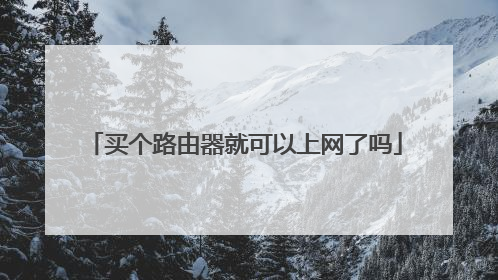 买个路由器就可以上网了吗