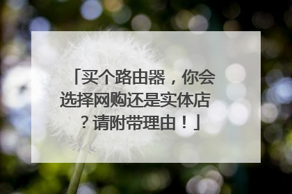 买个路由器,你会选择网购还是实体店?请附带理由!