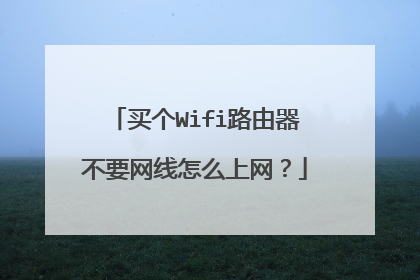 买个Wifi路由器不要网线怎么上网？