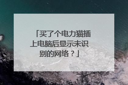 买了个电力猫插上电脑后显示未识别的网络？