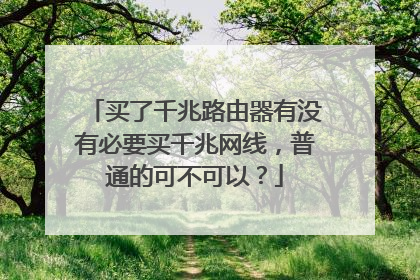 买了千兆路由器有没有必要买千兆网线，普通的可不可以？