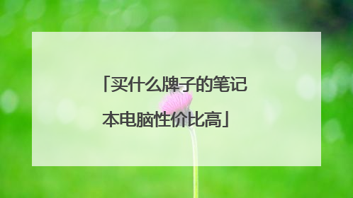 买什么牌子的笔记本电脑性价比高