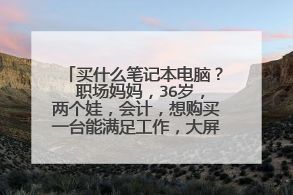 买什么笔记本电脑? 职场妈妈,36岁,两个娃,会计,想购买一台能满足工作,大屏幕,内存大,运行快