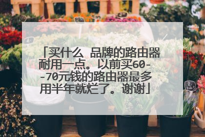 买什么 品牌的路由器耐用一点。以前买60--70元钱的路由器最多用半年就烂了。谢谢
