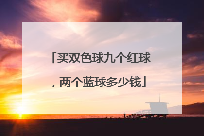 买双色球九个红球,两个蓝球多少钱