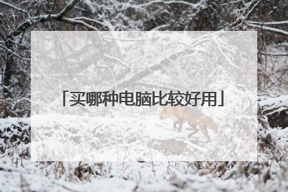 买哪种电脑比较好用