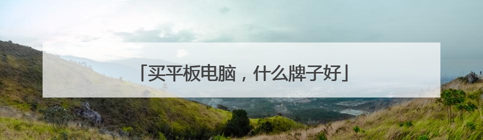 买平板电脑,什么牌子好