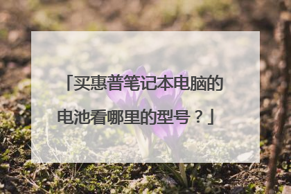 买惠普笔记本电脑的电池看哪里的型号?