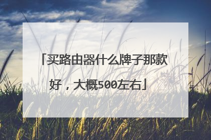 买路由器什么牌子那款好,大概500左右