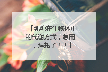 乳糖在生物体中的代谢方式，急用，拜托了！！