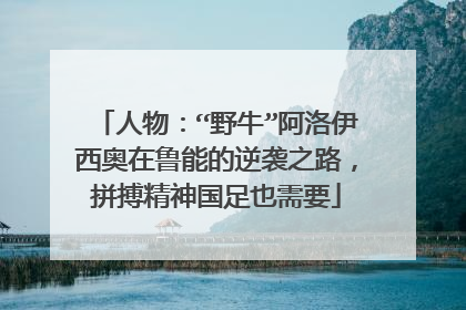 人物：“野牛”阿洛伊西奥在鲁能的逆袭之路，拼搏精神国足也需要