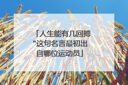 人生能有几回搏