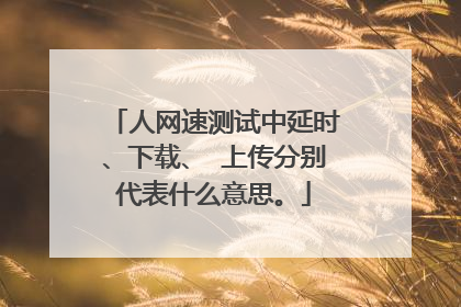 人网速测试中延时、下载、 上传分别代表什么意思。