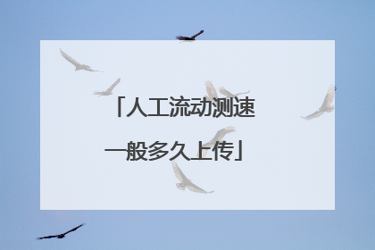 人工流动测速一般多久上传