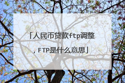 人民币贷款ftp调整,FTP是什么意思