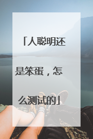 人聪明还是笨蛋,怎么测试的