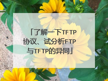 了解一下TFTP协议、试分析FTP与TFTP的异同
