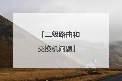 二级路由和交换机问题
