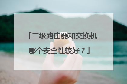 二级路由器和交换机哪个安全性较好？