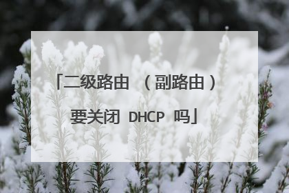 二级路由 （副路由） 要关闭 DHCP 吗