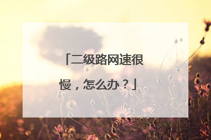 二级路网速很慢,怎么办?