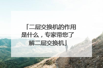 二层交换机的作用是什么,专家带您了解二层交换机