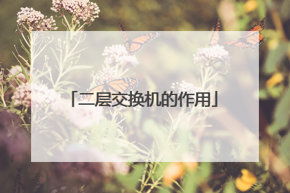 二层交换机的作用