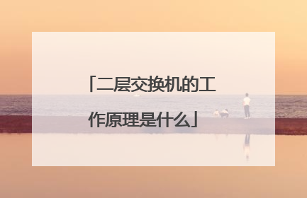 二层交换机的工作原理是什么