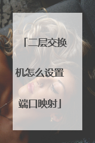 二层交换机怎么设置端口映射