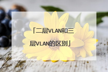 二层VLAN和三层VLAN的区别