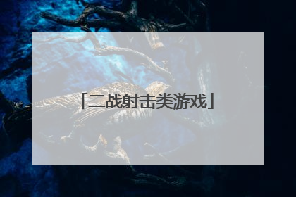 二战射击类游戏