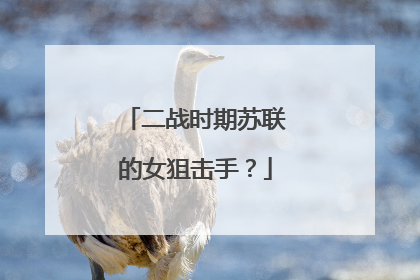 二战时期苏联的女狙击手？