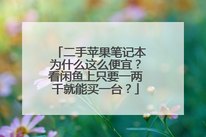 二手苹果笔记本为什么这么便宜?看闲鱼上只要一两千就能买一台?