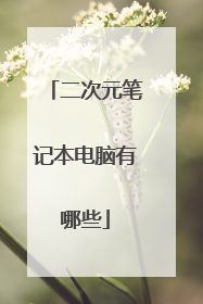 二次元笔记本电脑有哪些