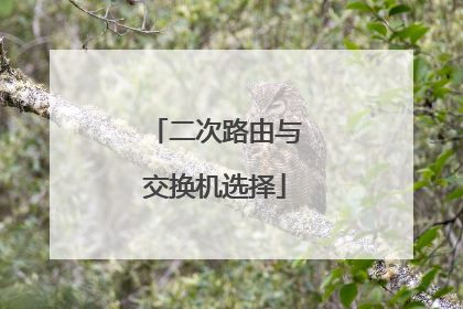 二次路由与交换机选择